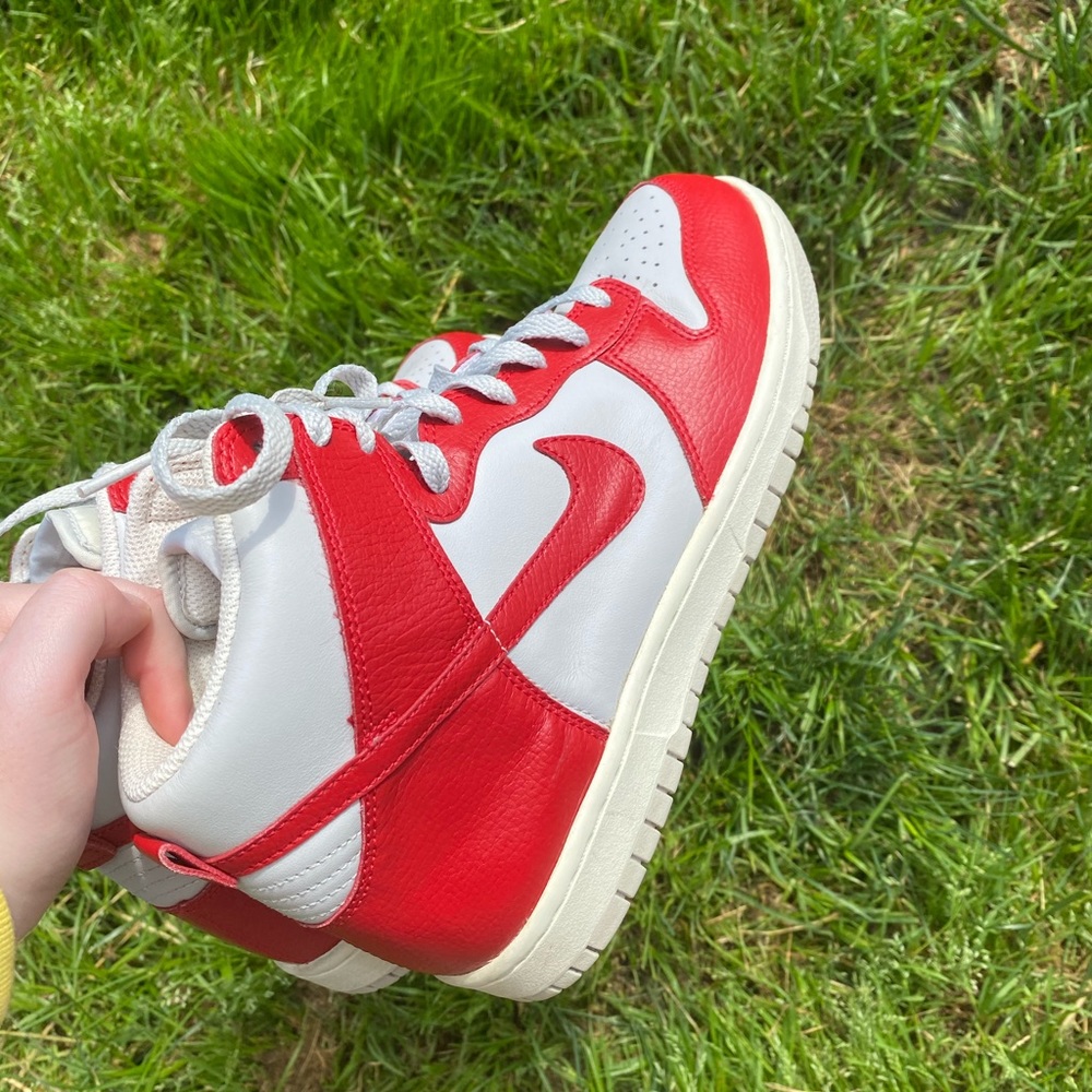 Nike dunks